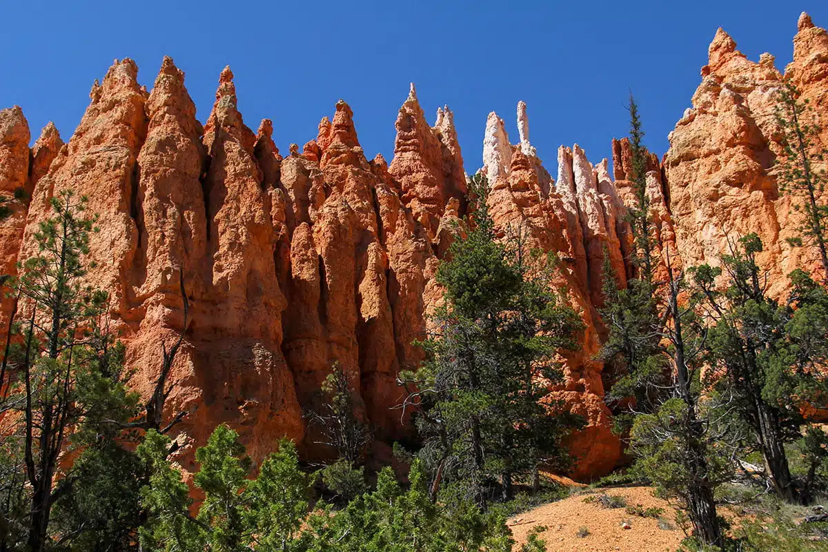 Bryce Canyon formation and trees