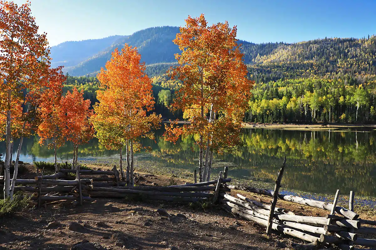 Beaver Mountain Fall Colors