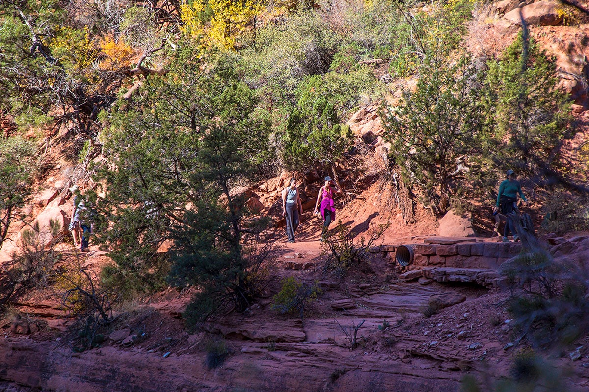 Kayenta Trail | Zion National Park | Utah