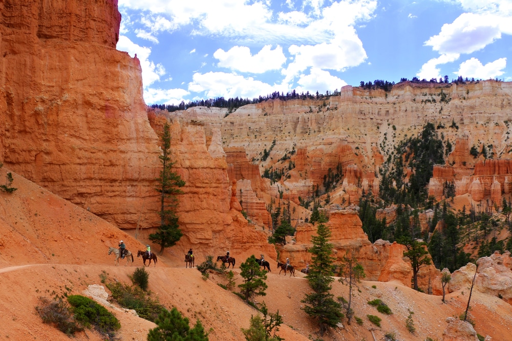 Bryce Canyon Horseback Riding