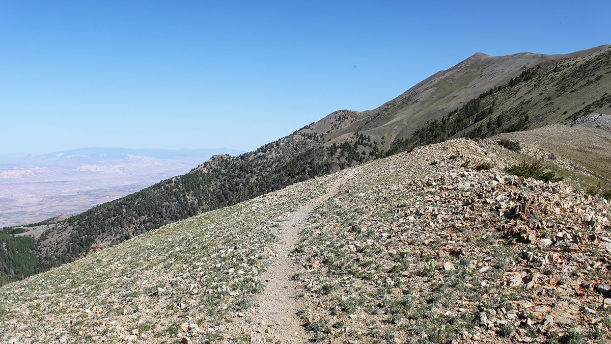 Trail of Mt. Ellen and the Henry Mountains