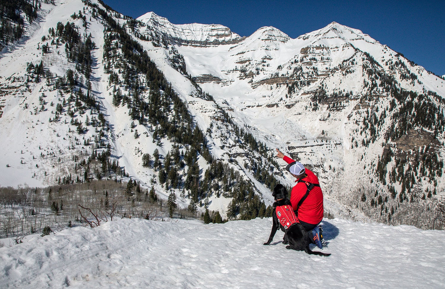 Person with rescue dog on Mountain at Sundance Mountain Resort in Utah.