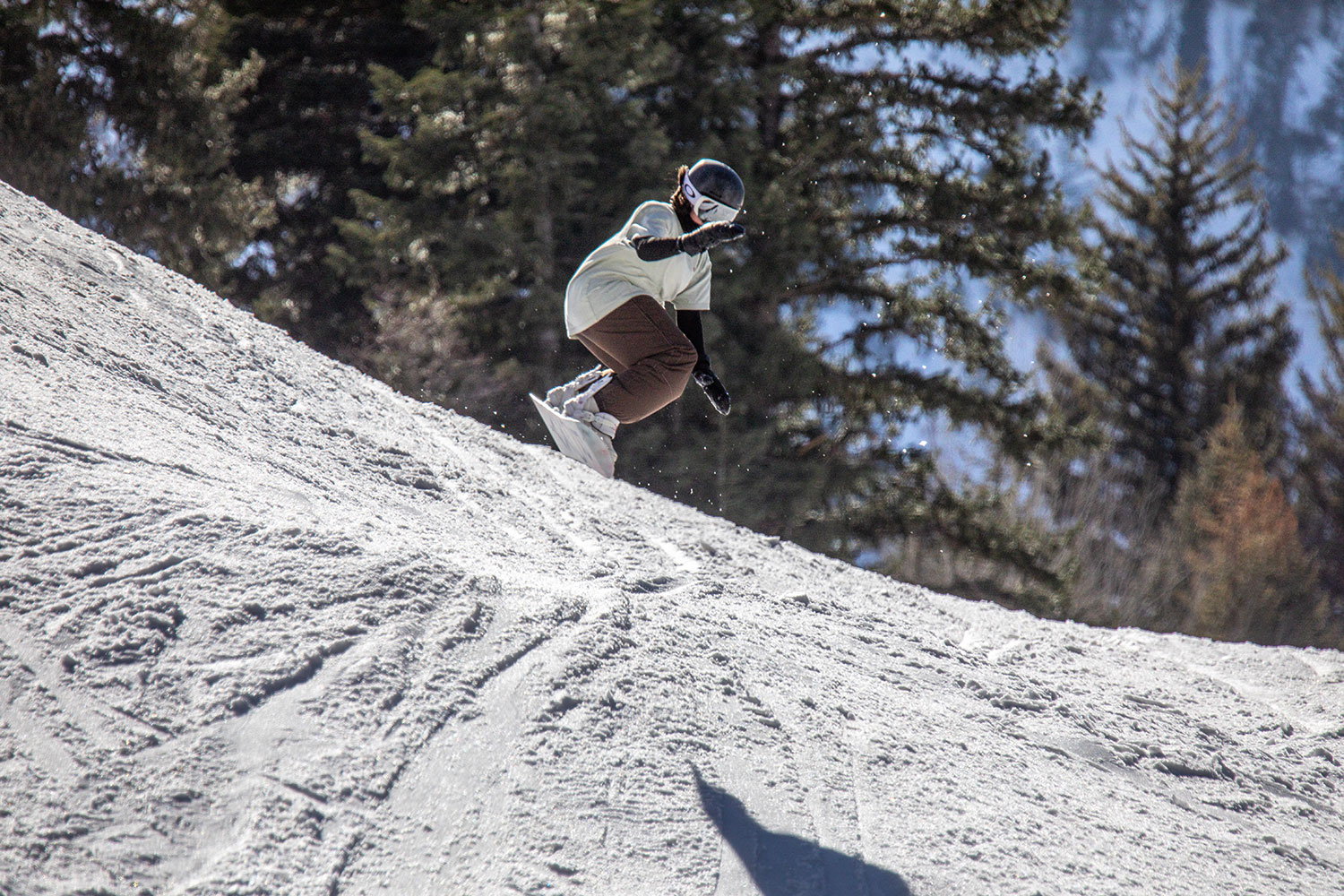 Skiiers on mountain