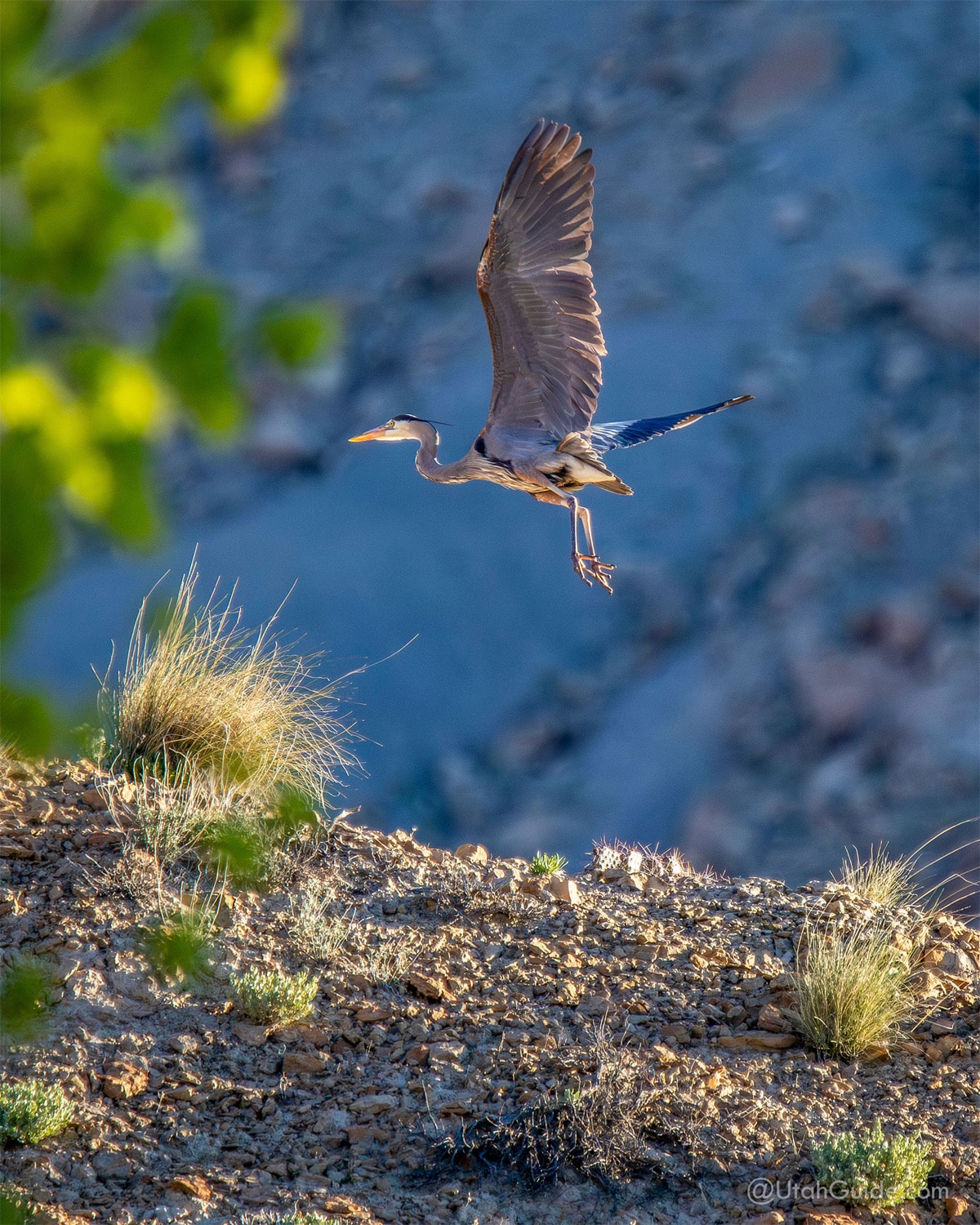 Blue Heron Millsite State Park in Utah.