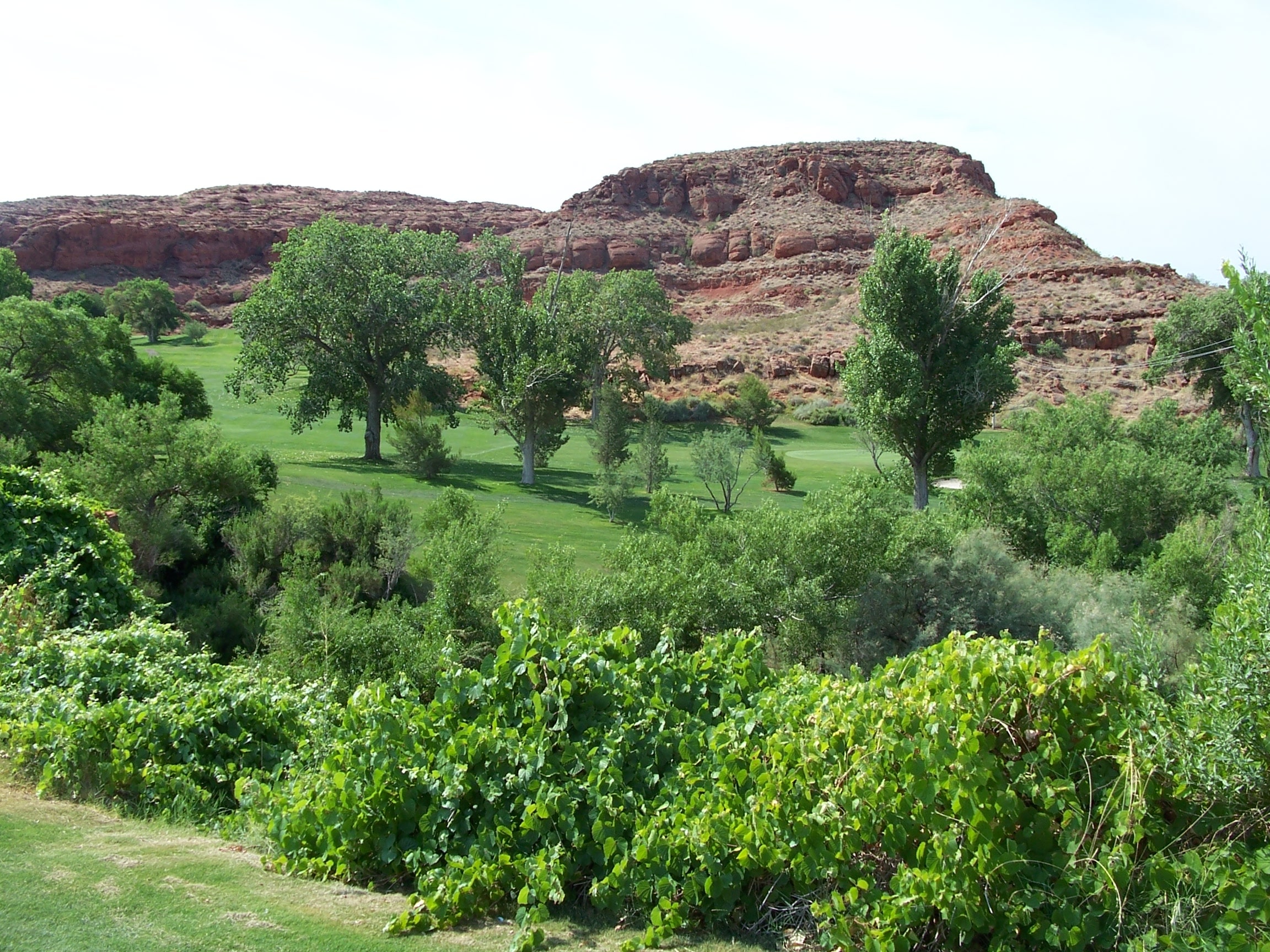 Green golf course surrounded by trees with a red rock hill in the background.