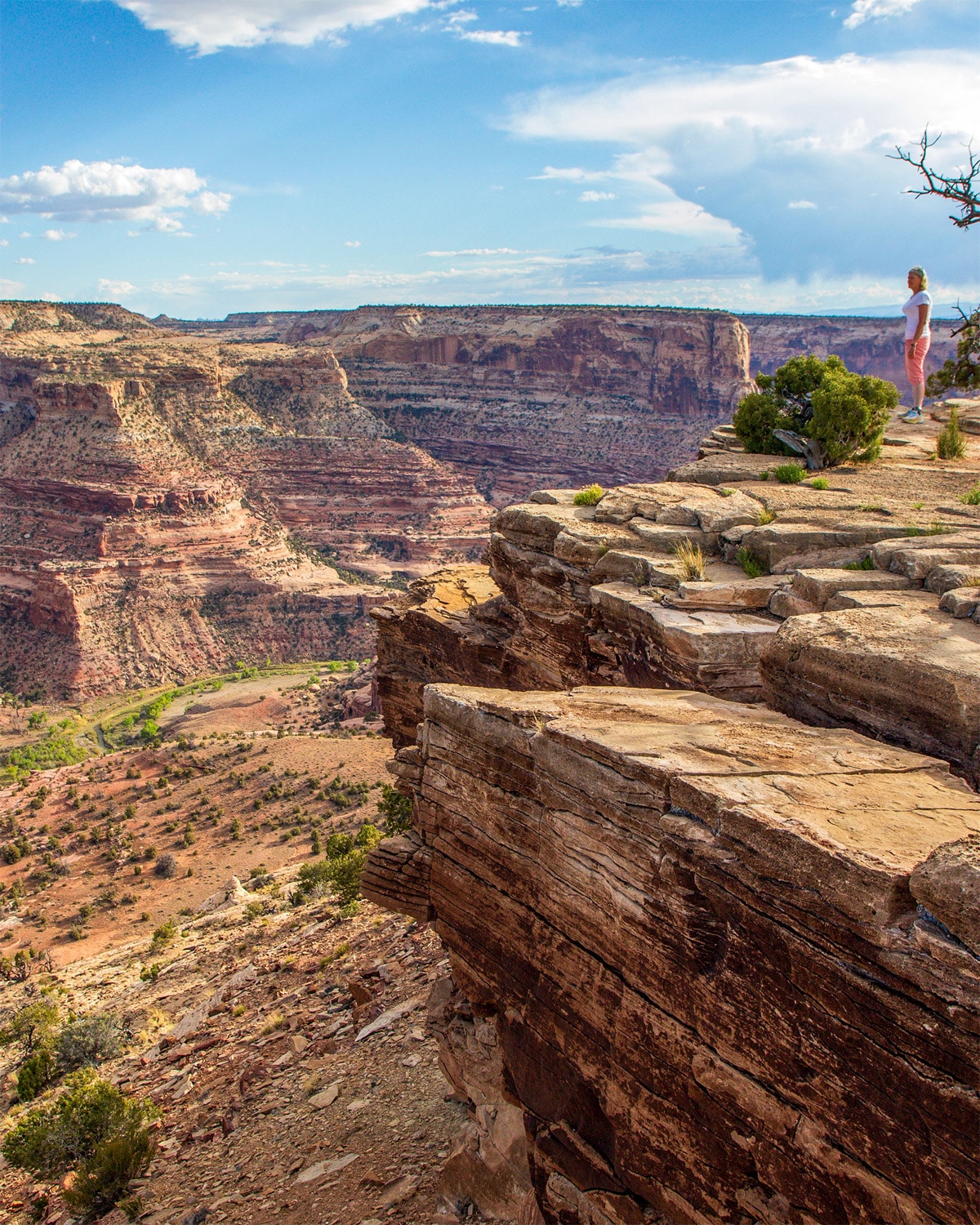 Scenic view from Wedge Overlook in San Rafael Swell, Utah.