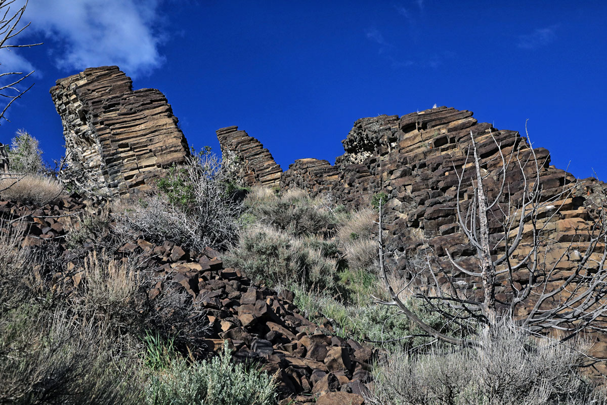 Utah Hiking Trail Paul Bunyans Woodpile