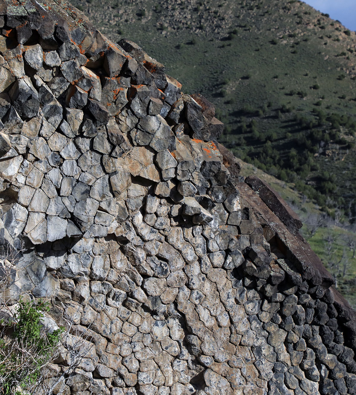 Utah Paul Bunyans
Woodpile