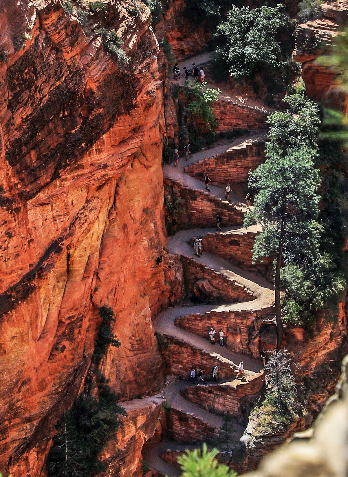 Walters Wiggles - Zion National Park